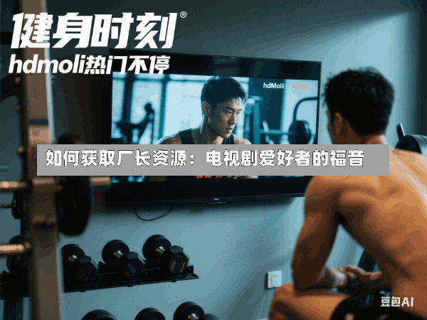 如何获取厂长资源:电视剧爱好者的福音